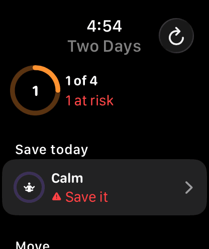 Two Days Today on Apple Watch